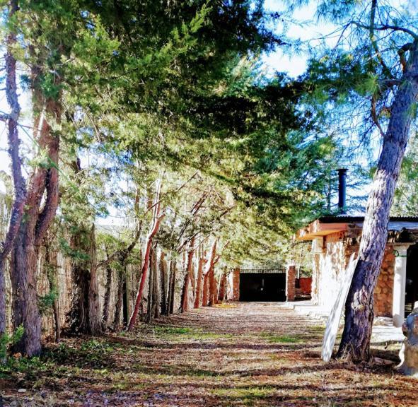 La Cabana De Piedra Ruidera Zewnętrze zdjęcie